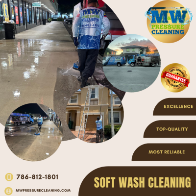 soft-wash-cleaning-in-pinecrest-fl