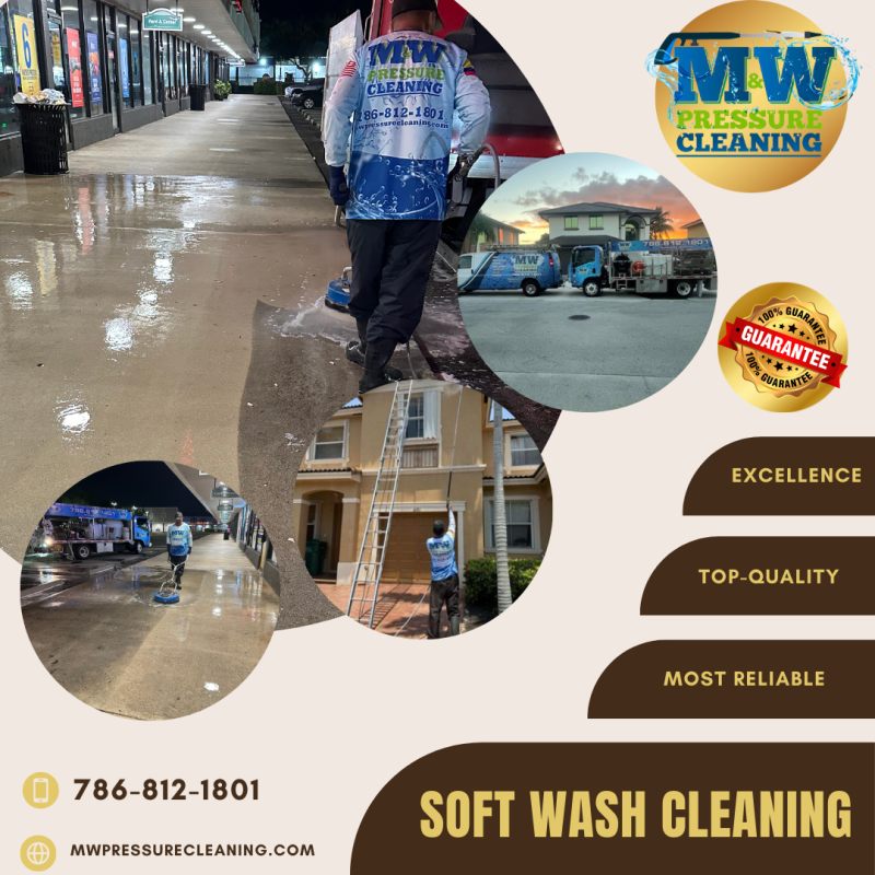 soft-wash-cleaning-in-pinecrest-fl