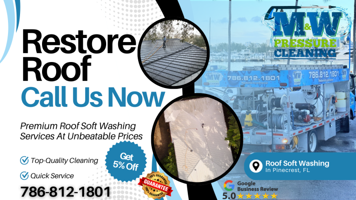 roof-soft-washing-services near-me