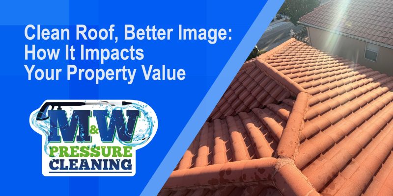 Clean Roof, Better Image