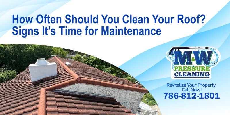 How Often Should You Clean Your Roof